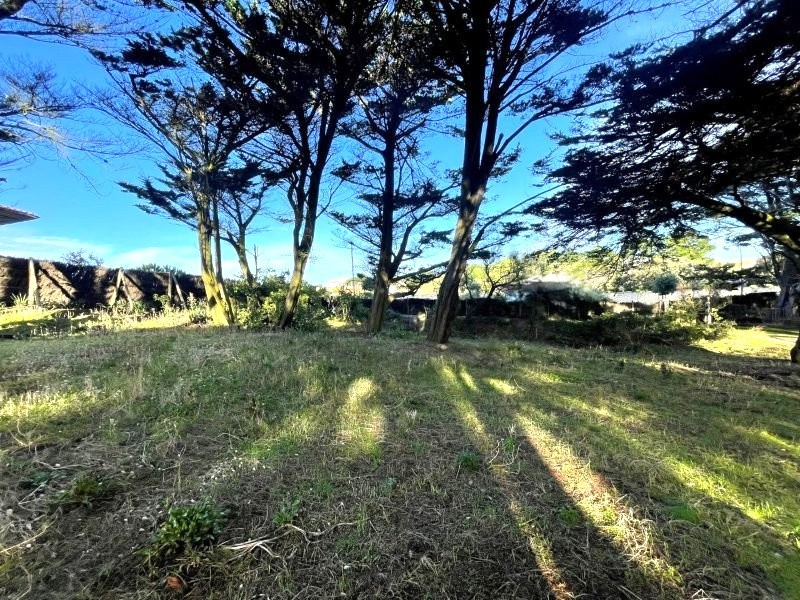 Agence immobilière de Bleu Immobilier Noirmoutier