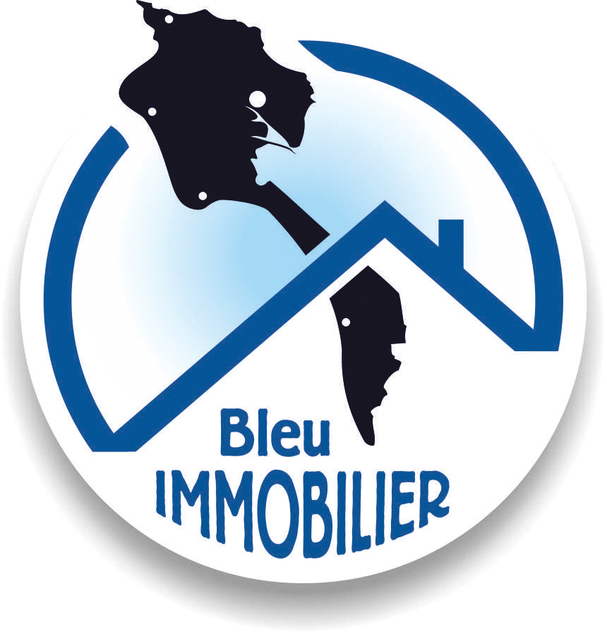 Logo Bleu Immobilier Noirmoutier